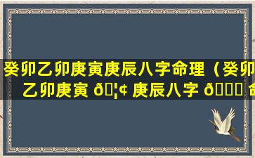 癸卯乙卯庚寅庚辰八字命理（癸卯乙卯庚寅 🦢 庚辰八字 🐘 命理详解）